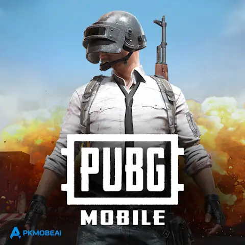 PUBG MOBILE KR