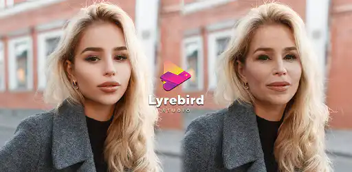 Aged فلتر, لحية ال شنب FaceLab background