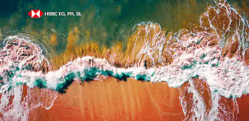 HSBC for EG, SL background